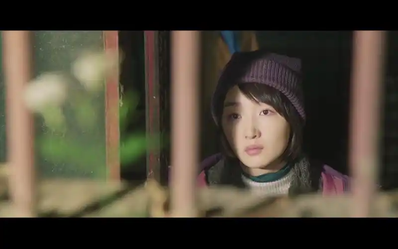 周冬雨井柏然演绎十年虐恋后来的我们什么都有了却没有了我们