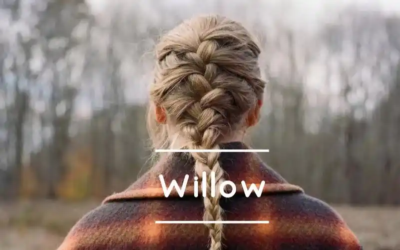 【圆体英文】taylor swift的新歌《willow》歌词抄写
