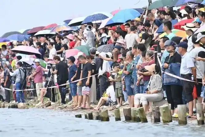 【精彩】今天上午,澄海海明公园燃爆了!现场照片,快看看有没有你!