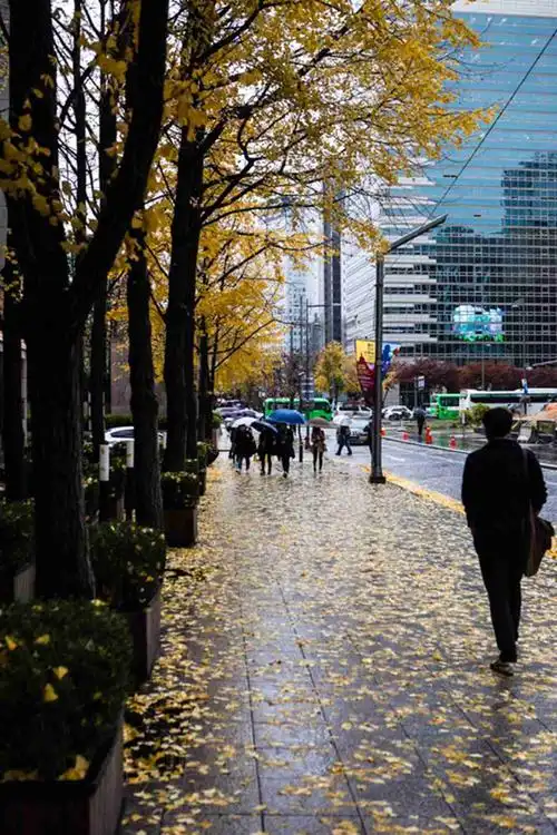 在首尔街头随拍
