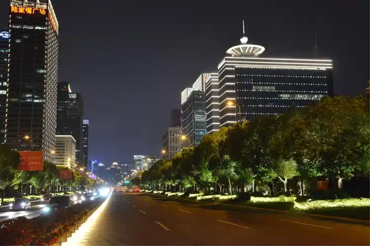 世纪大道亮灯工程