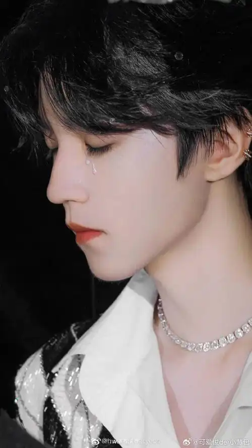 ##王俊凯骆驼品牌全球代言人##champion大中华区品牌