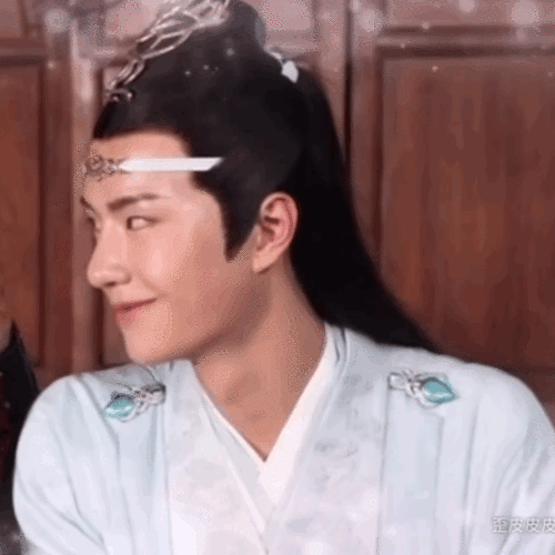 陈情令 王一博 肖战 动图