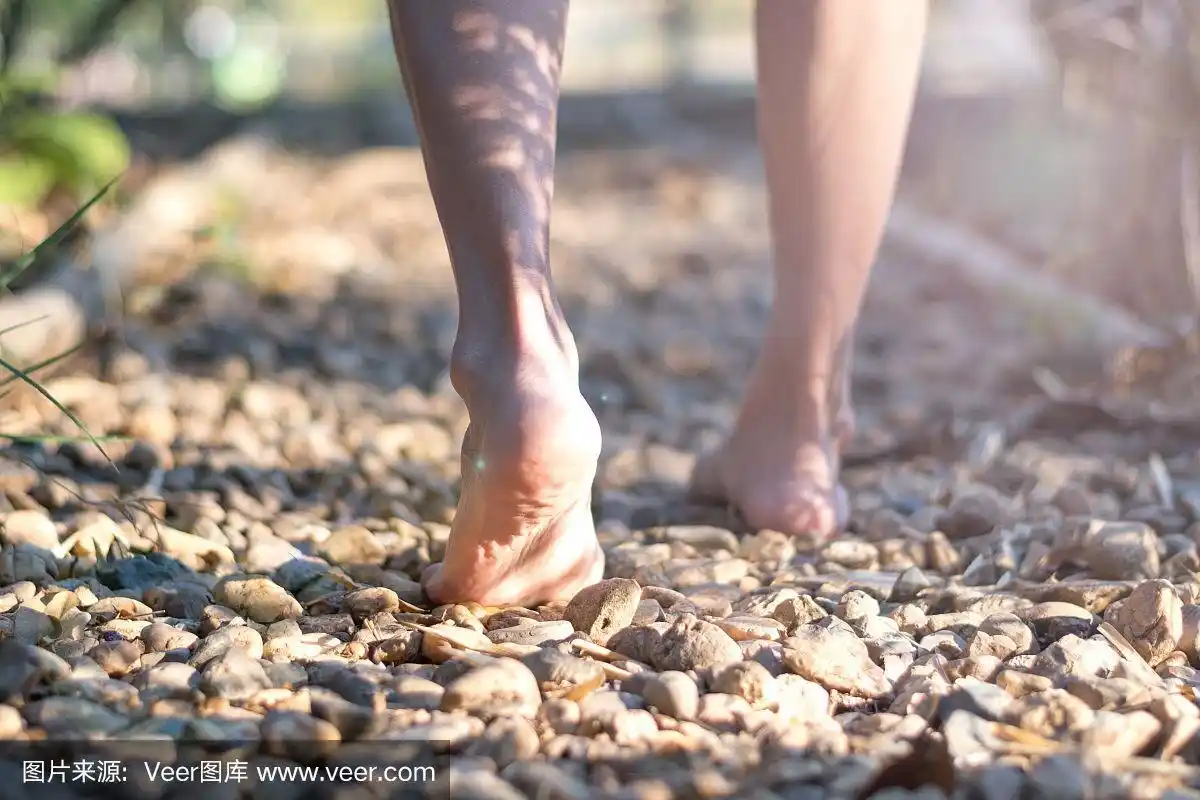 反射石与赤脚行走在鹅卵石表面按摩和刺激穴位在脚底和禅的宗教冥想