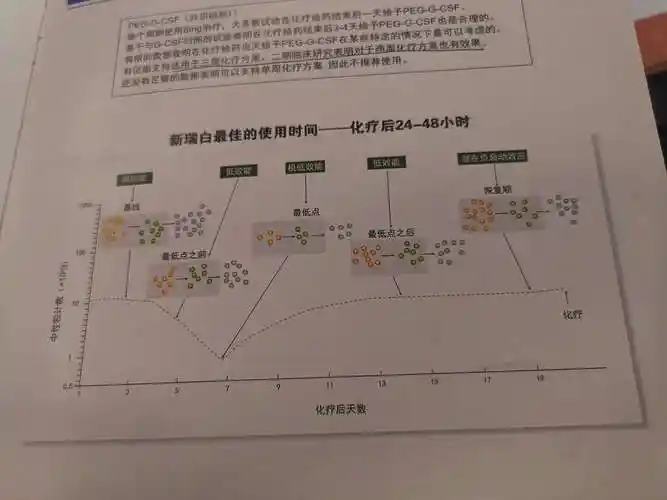 新瑞白相关知识