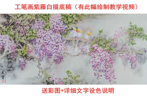 工笔画白描底稿大幅线稿实物打印稿国画初学者素材六尺紫藤花鹦鹉