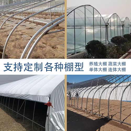 大棚骨架钢管温室蔬菜种植组装养殖大棚全套镀锌椭圆管牛羊猪舍棚