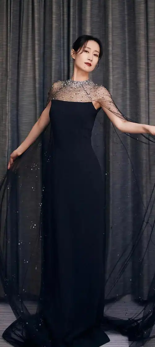 明星怀旧系列图片壁纸～刘敏涛