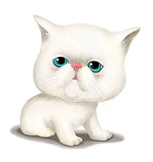 波斯猫图片_全景网