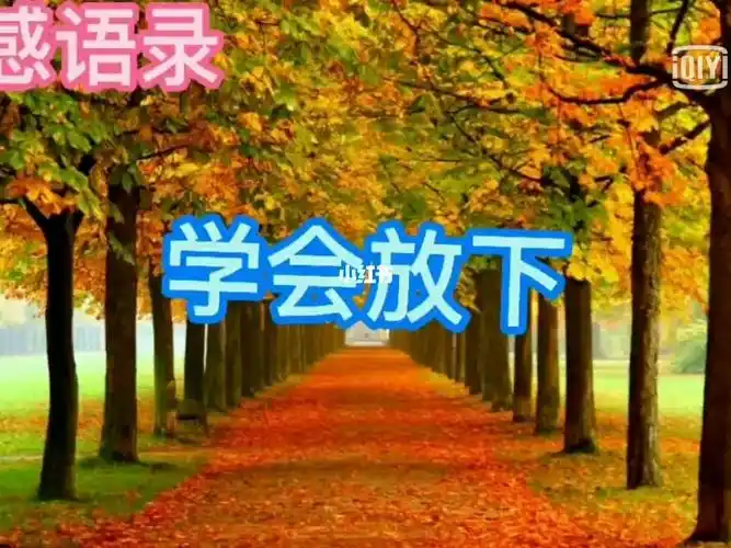 情感语录学会放下