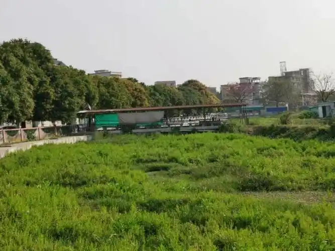 华灯初上佛山狮山官窑这个小乡村夜景居然这么美