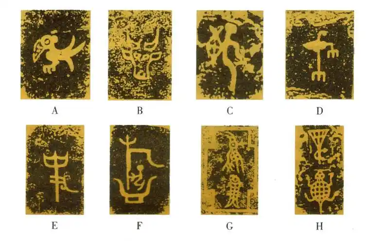 (商金文族徽)图a是我们平常说的"玄鸟",可能是商人最早的原生图腾;图b