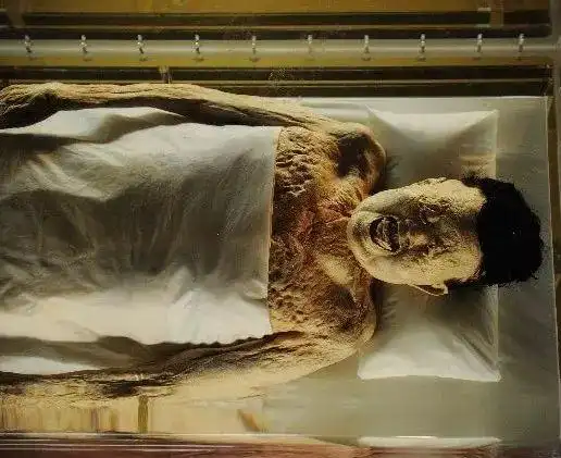 最上等"高学历美女尸体"要价直逼20万!