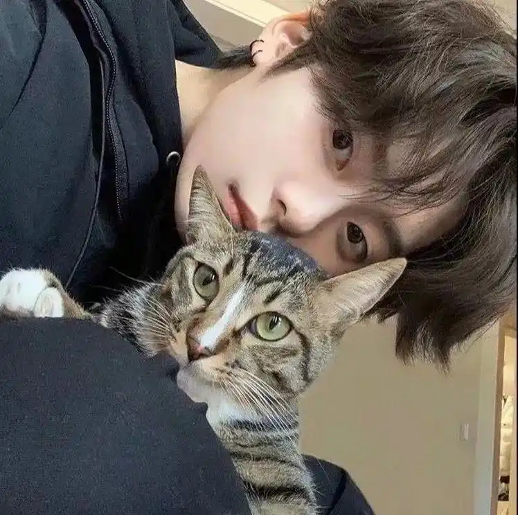 男生头像:简单又干净的帅气男头