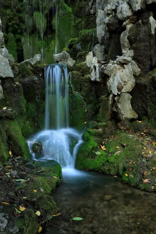 济南涌泉之花草山水