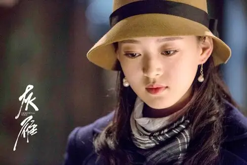 电视前沿 > 正文    新浪娱乐讯 女性励志谍战剧《灰雁》扛起女性英雄