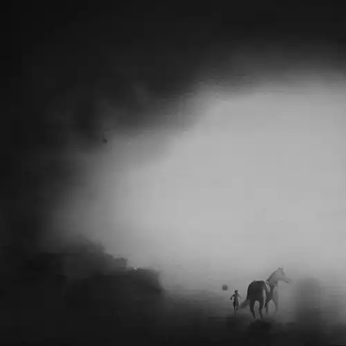 意境悠长,这组黑白水彩画,诠释了人与动物的和谐之美