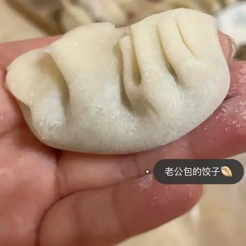 我老公包的奇奇怪怪的饺子09