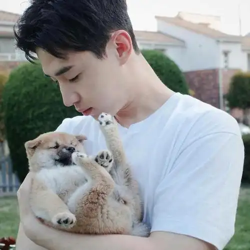 头像|刘宪华头像