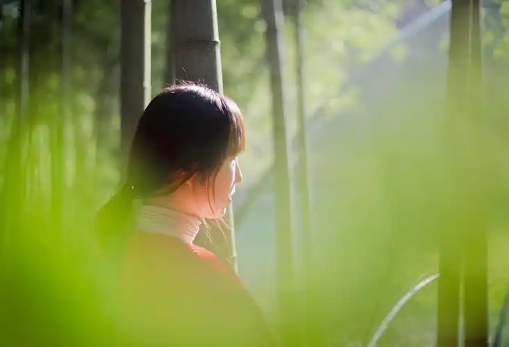 剪一缕阳光 绘一轮青春