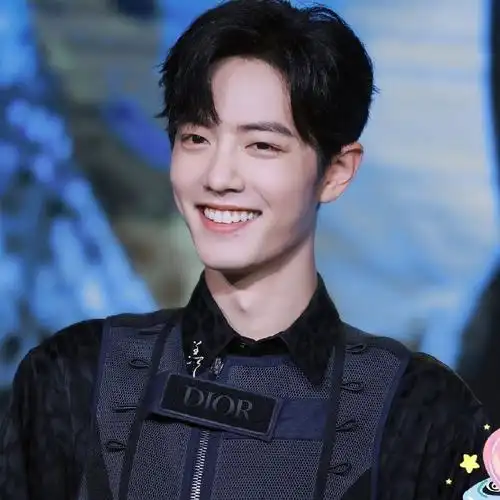 肖战你是我的理想型1314