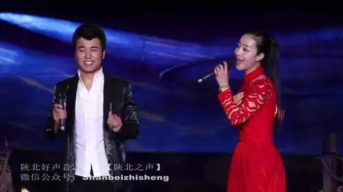 王小妮,柳强强新陕北民歌《花开的时候你就来看我 》