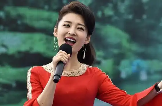 安徽卫视十大著名主持人王小川上榜第一被称为安徽卫视一姐2