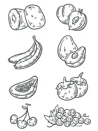 【水果白描手绘】图片免费下载_水果白描手绘素材_水果白描手绘模板