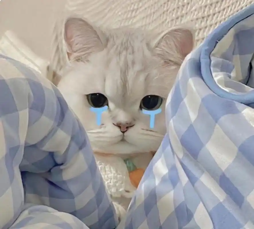 委屈表情包 我最爱的表情包 套路表情包 沙雕表情包 委屈表情包 表情