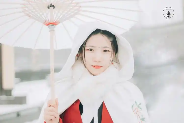 她却只想起那一年年 执伞长阶送君去