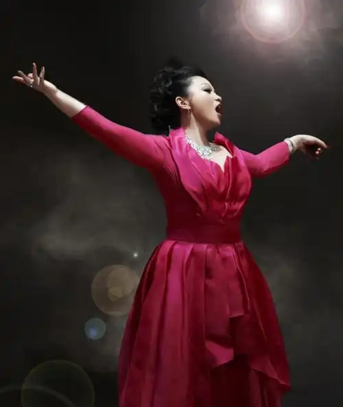 2020黄英上海音乐会时间,场馆,购票链接