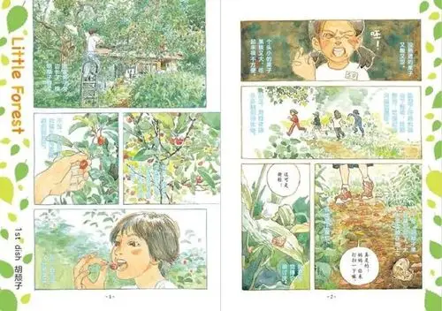 送书:豆瓣高分片《小森林》原著,焦虑和有压力的人,都该读读它