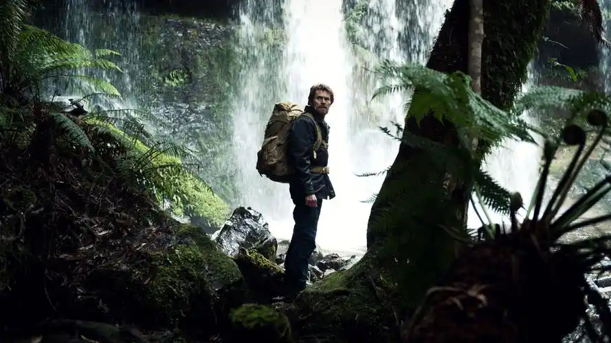 澳大利亚电影猎人桌面壁纸