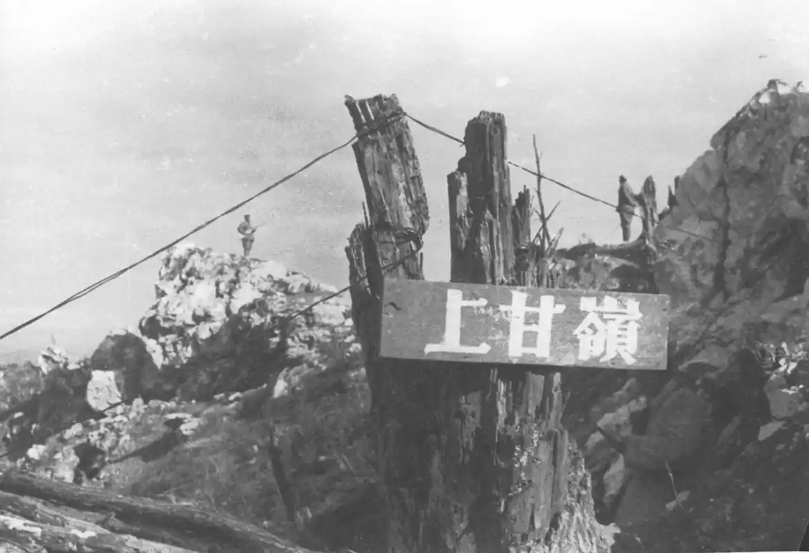 这一时段来自上甘岭的树木枯枝照片,短短85公分的枯枝上镶嵌这35枚