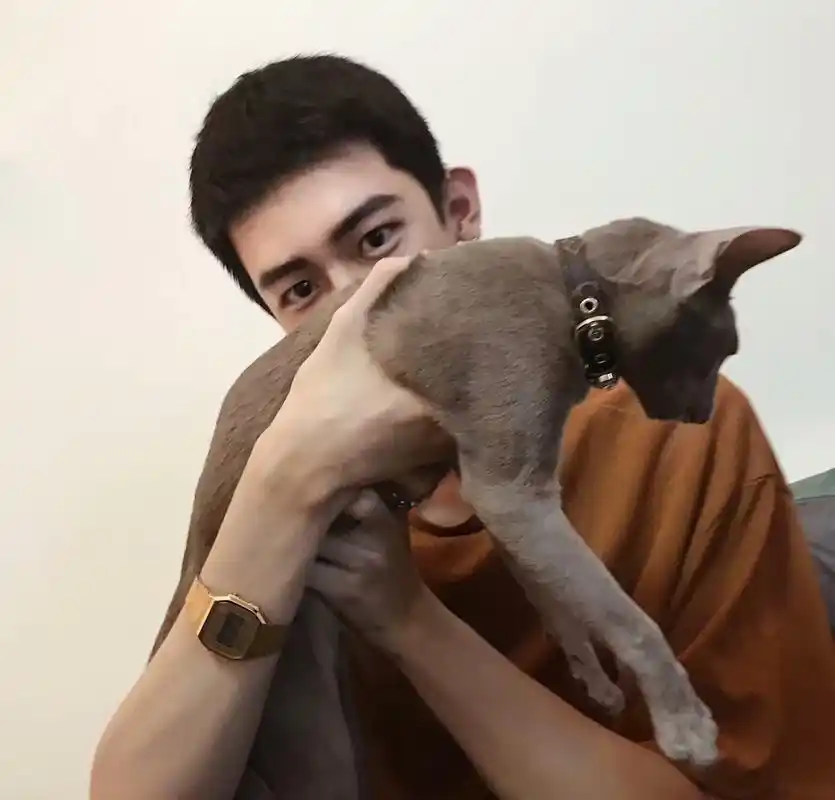 【虎斑收录】男生头像 网红 头像 清新 唯美 可爱 男头