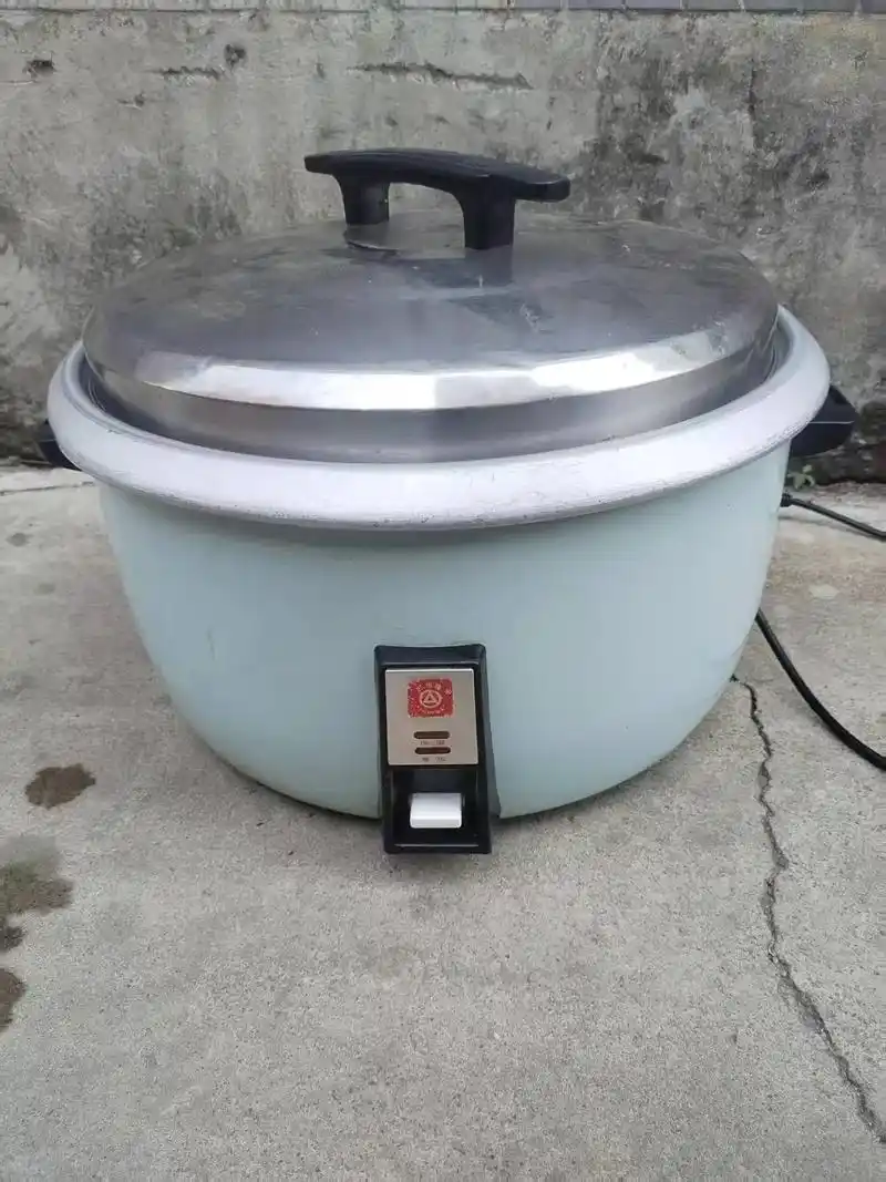 三角牌大电饭煲,23升,正常使用.#二手闲置物品发布中心 #
