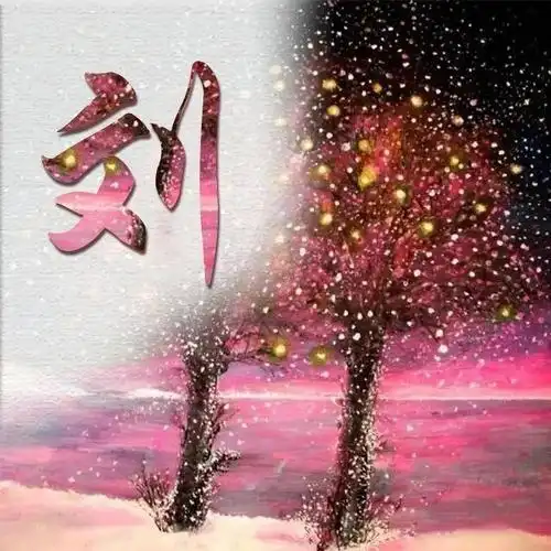 7种类型,38个常见百家姓氏做微信头像,五彩斑斓,美轮美奂