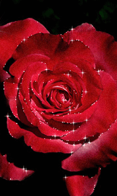 240_400竖版 竖屏gif 动态图 动图