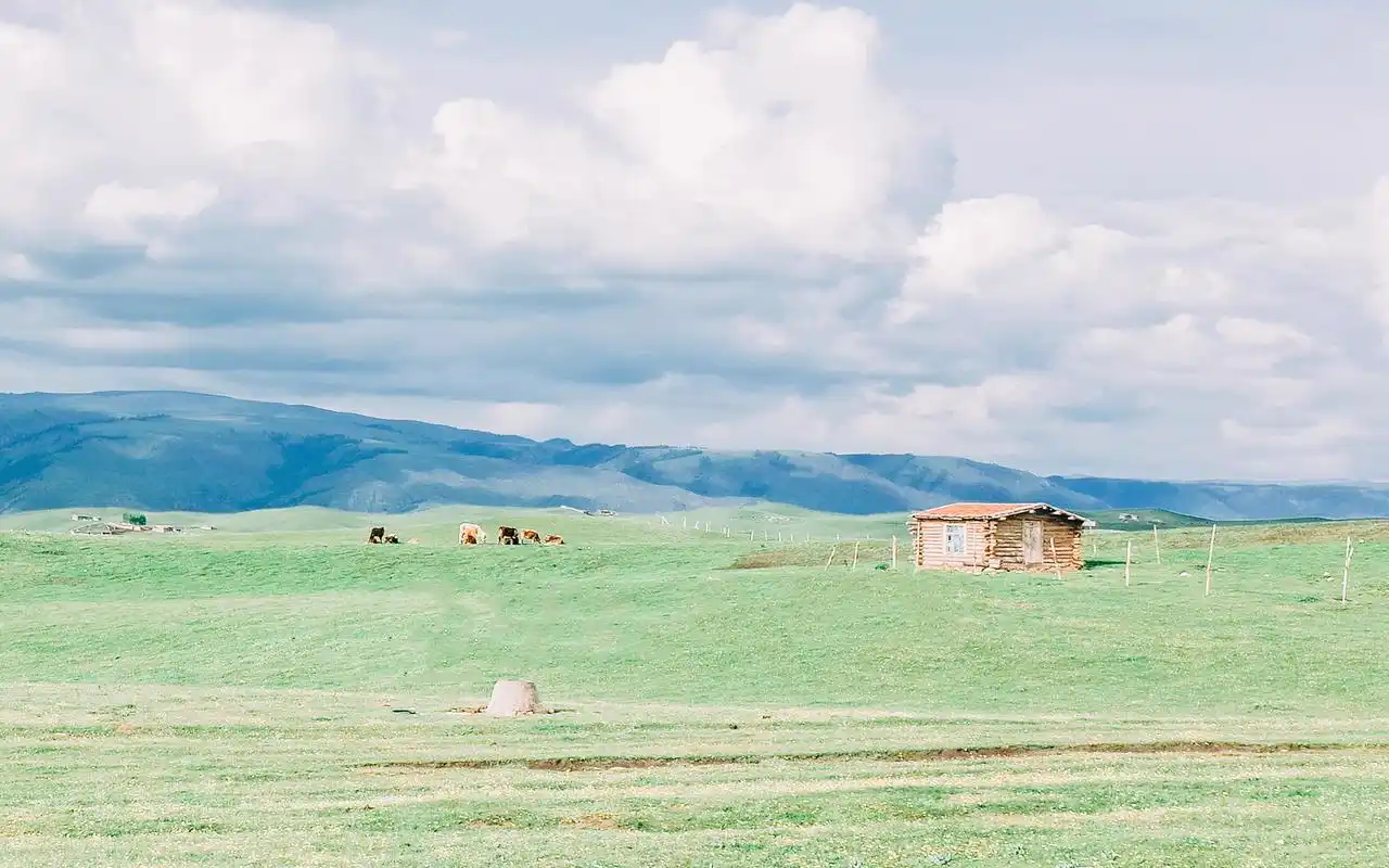 小清新草原简约唯美高清桌面壁纸