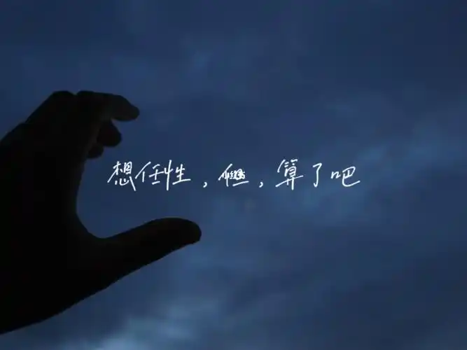 想任性但算了吧