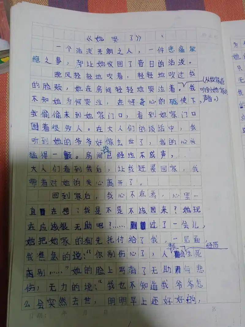 《他_了》(哭)作文草稿原稿 五年级语文《她哭了》作文草稿原稿,不喜