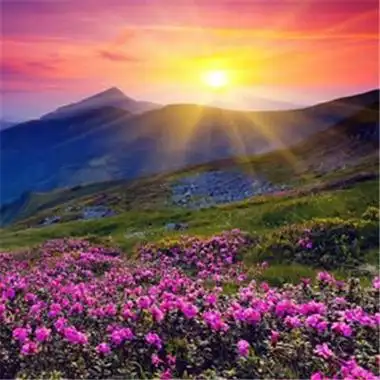 会带来好运的微信头像图片