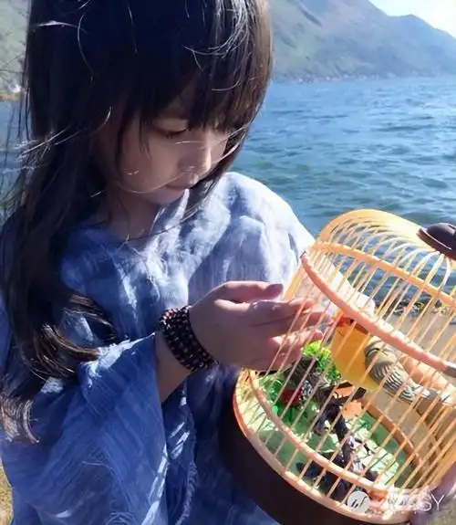 回顾刘楚恬2岁出道年入百万因长相甜美被禁止整容现长成啥样