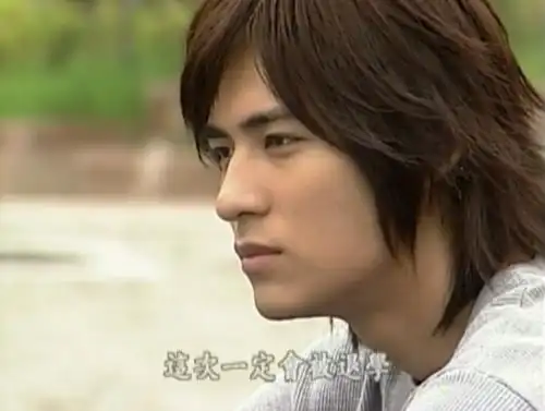 流星花园周渝民的花泽类代表了台湾男星最高颜值