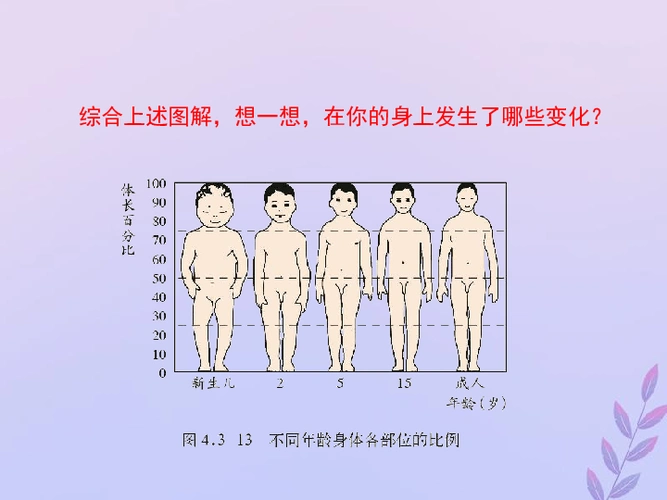八年级生物上册第四单元物种的延续第三章人类的生殖和发育第二节青春