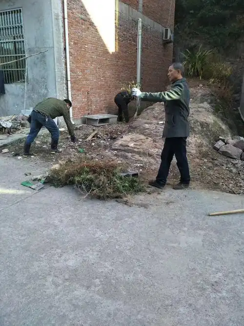 金华市武义县泉溪镇金溪村