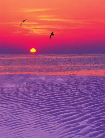 壁纸|来源:视觉中国