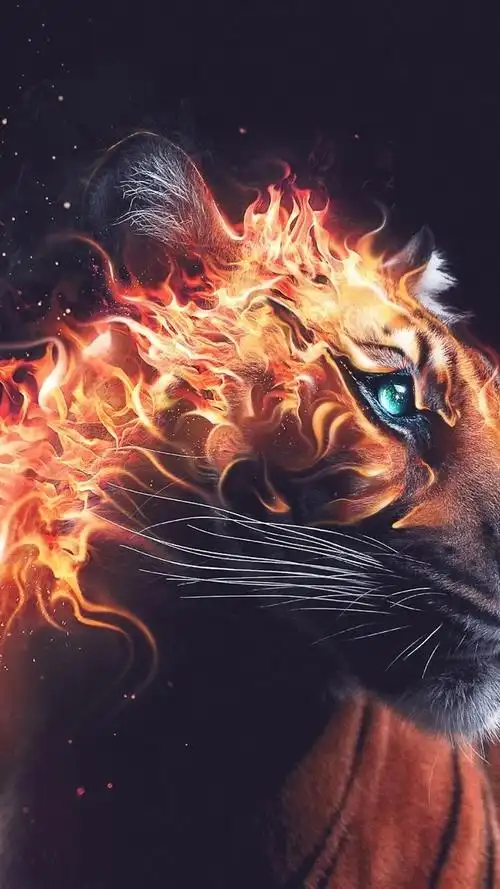 iphone 壁纸 老虎回头看,火,兽,desktopography艺术设计