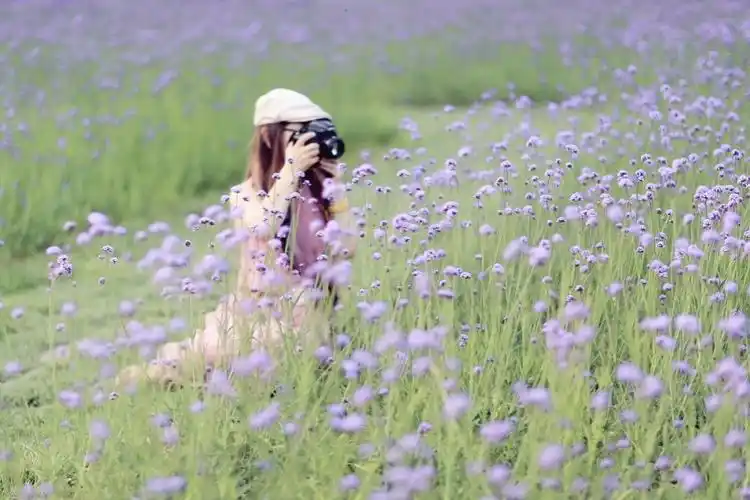 摄影:背影  淳子  丽美