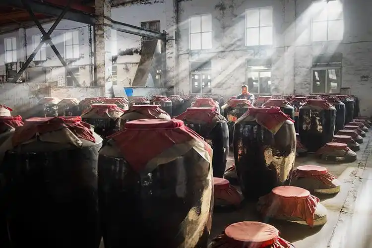 镜头中的"琅琊古道"酒(涂中酿酒)